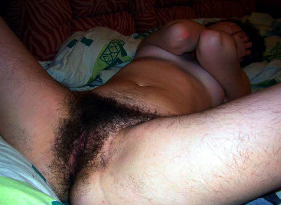 Gratis Foto 2649 Peludas