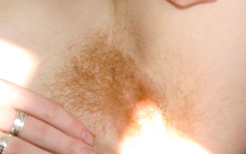 Gratis Foto 9671 Peludas