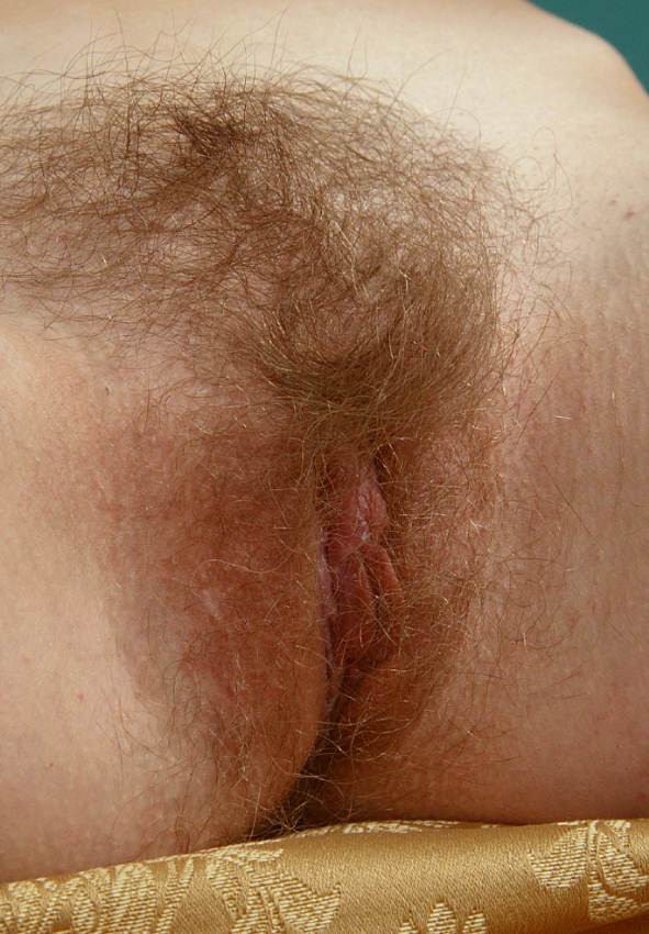 Gratis Foto 1697 Peludas