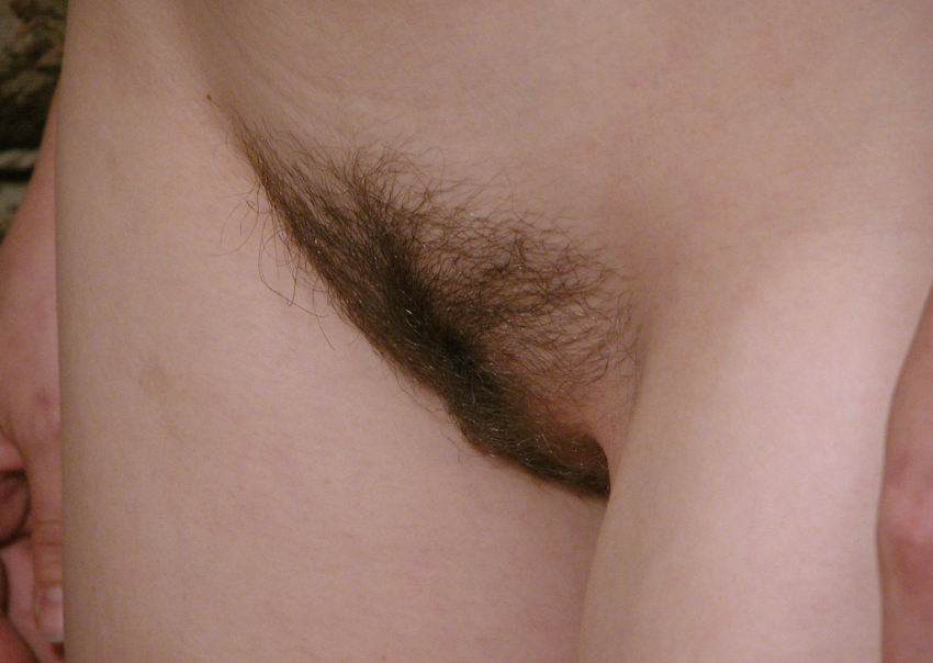 Gratis Foto 2023 Peludas