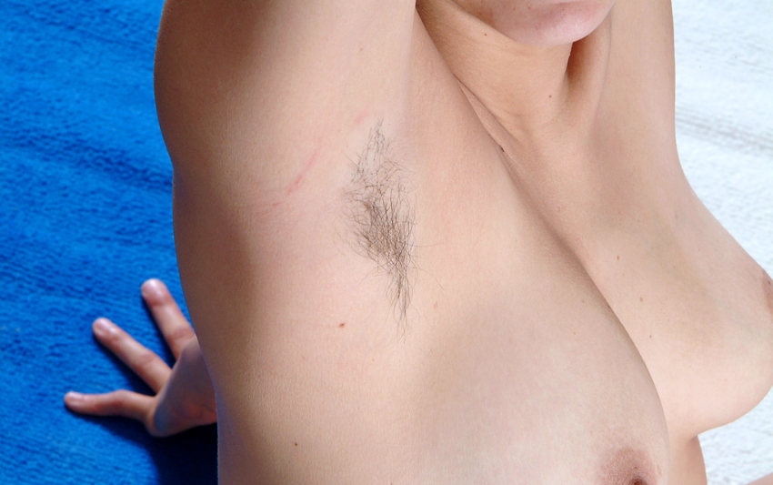 Gratis Foto 11454 Peludas