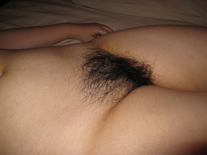 Gratis Foto 338 Peludas