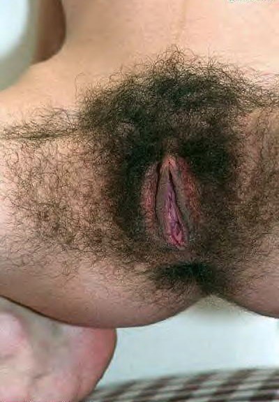 Gratis Foto 12535 Peludas