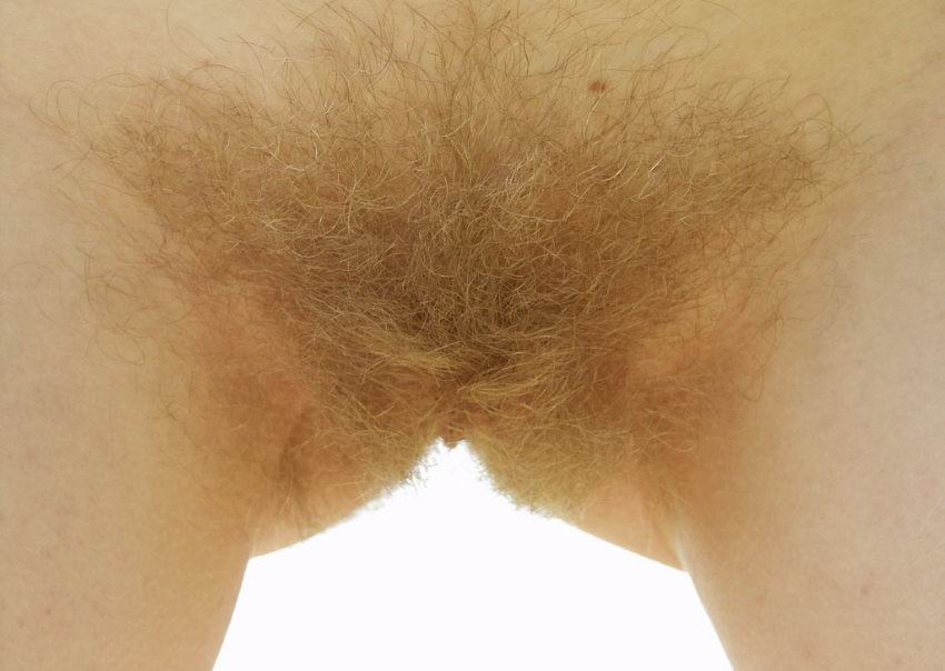 Gratis Foto 3892 Peludas