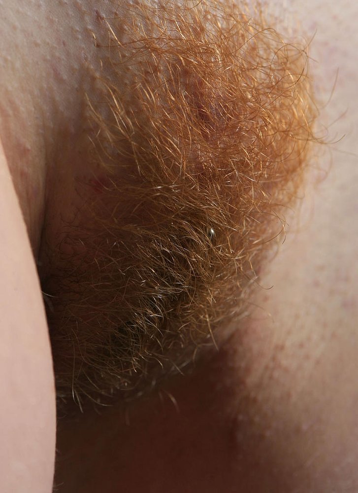 Gratis Foto 12023 Peludas