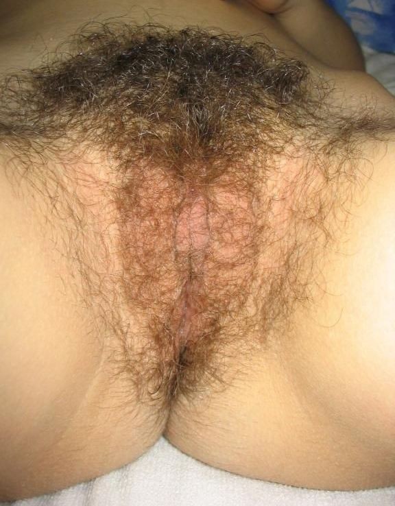 Gratis Foto 909 Peludas