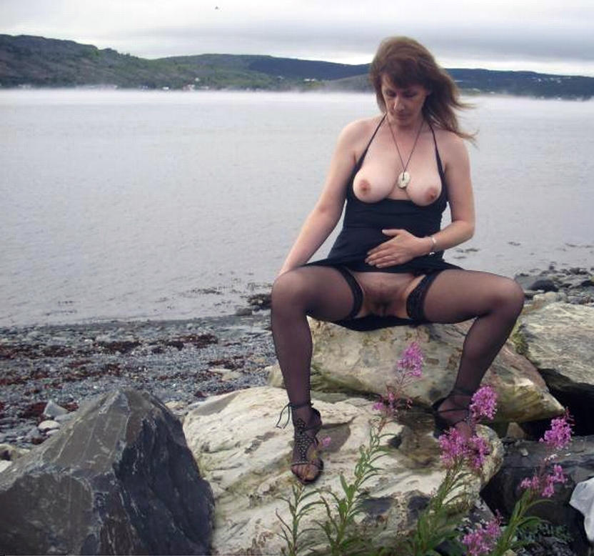 Gratis Foto 9336 Peludas