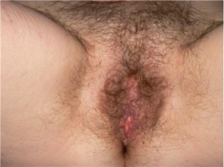Gratis Foto 6656 Peludas