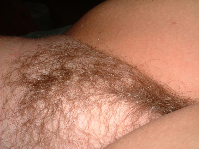 Gratis Foto 3275 Peludas