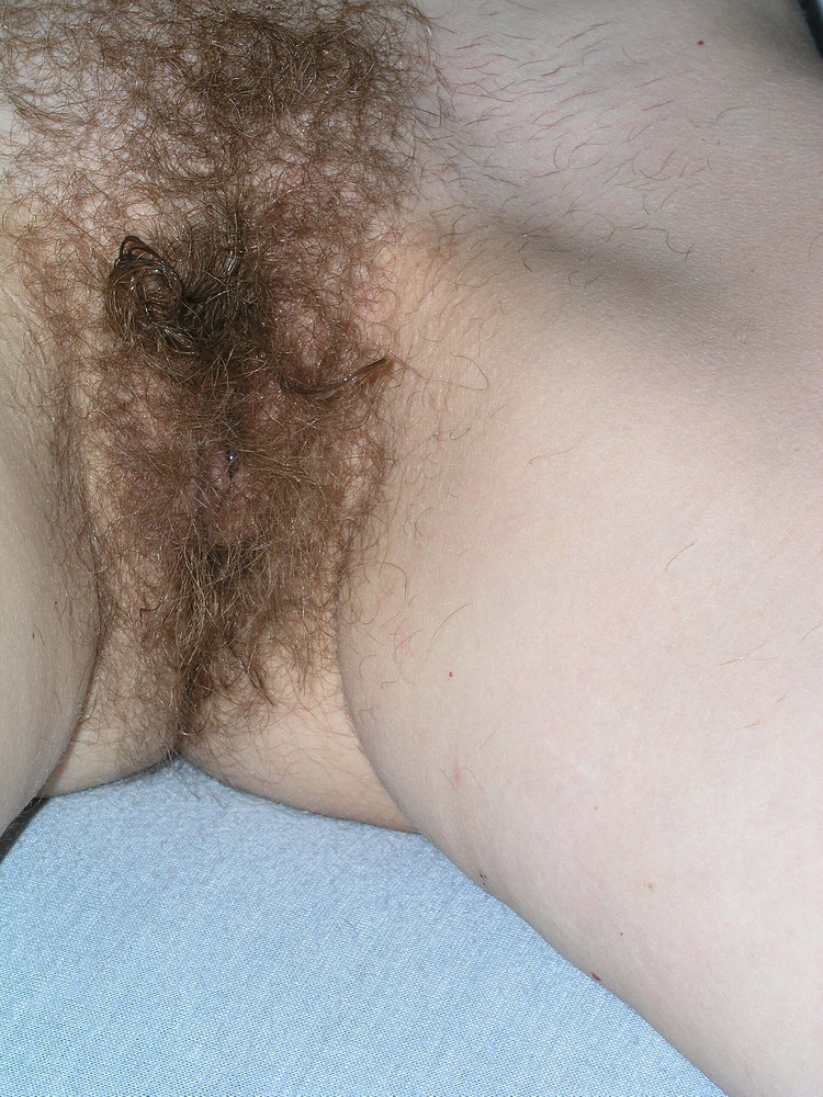 Gratis Foto 13330 Peludas