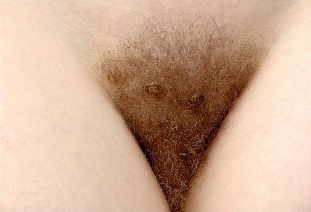 Gratis Foto 14165 Peludas