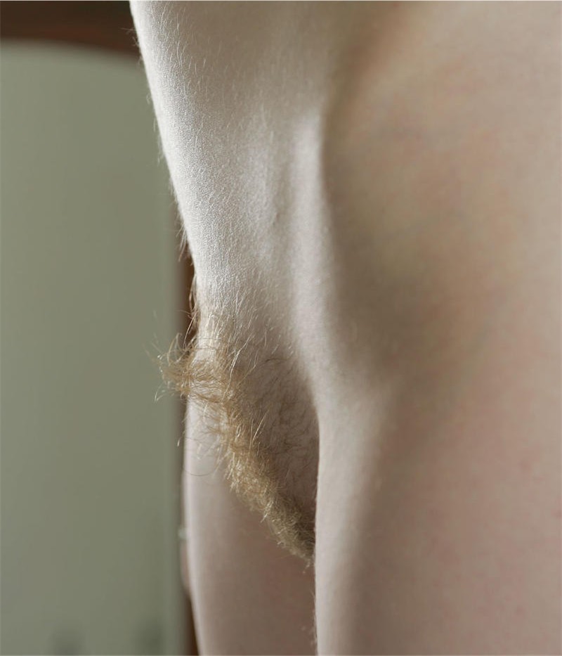 Gratis Foto 5279 Peludas