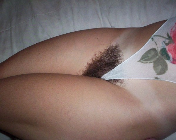 Gratis Foto 8503 Peludas