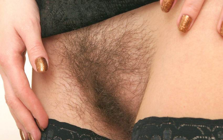 Gratis Foto 4293 Peludas