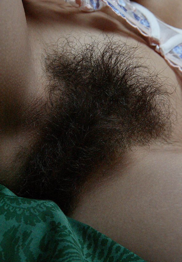 Gratis Foto 6712 Peludas