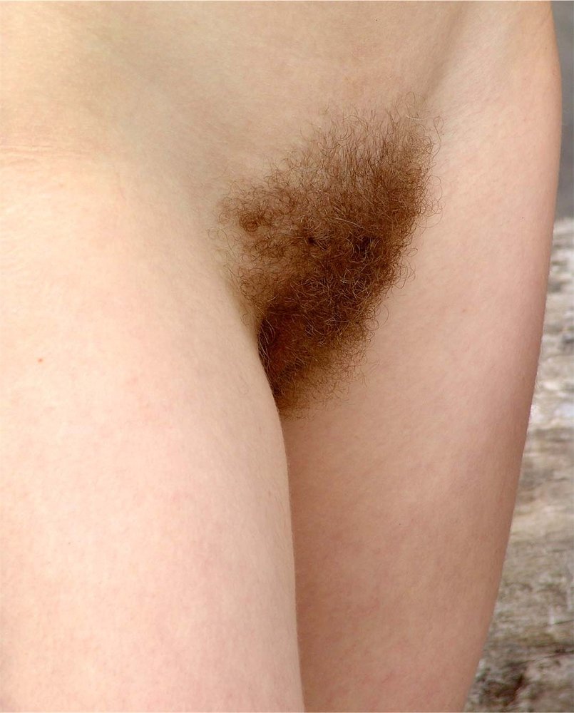 Gratis Foto 15000 Peludas