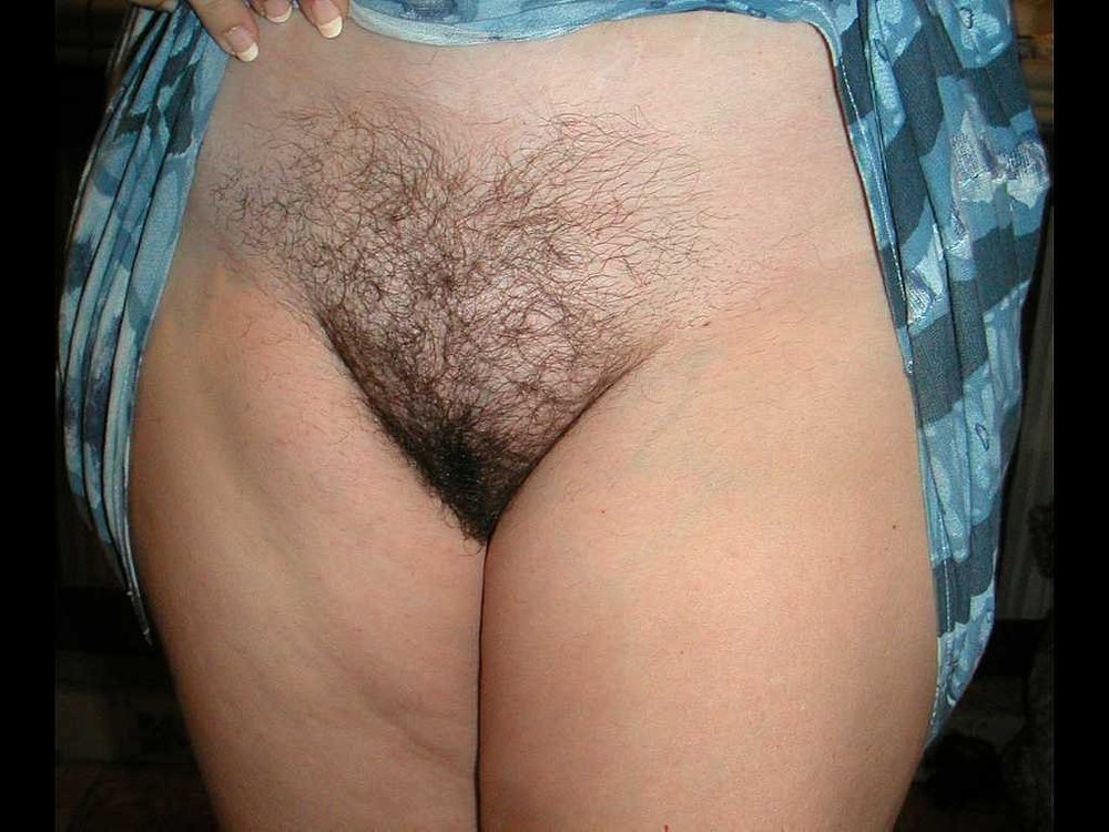 Gratis Foto 9843 Peludas