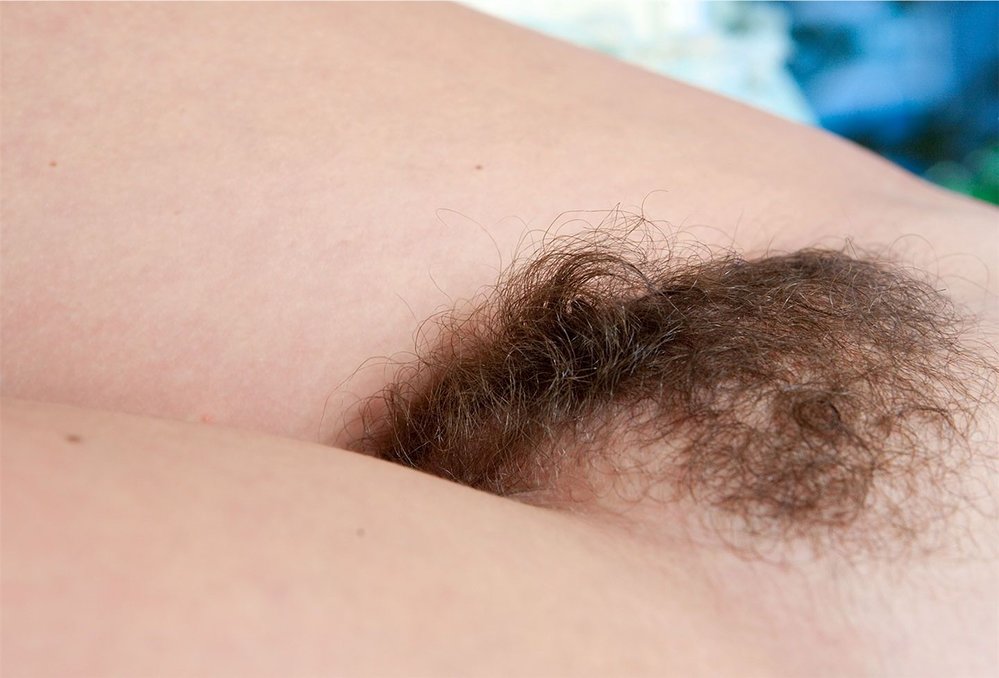 Gratis Foto 8820 Peludas