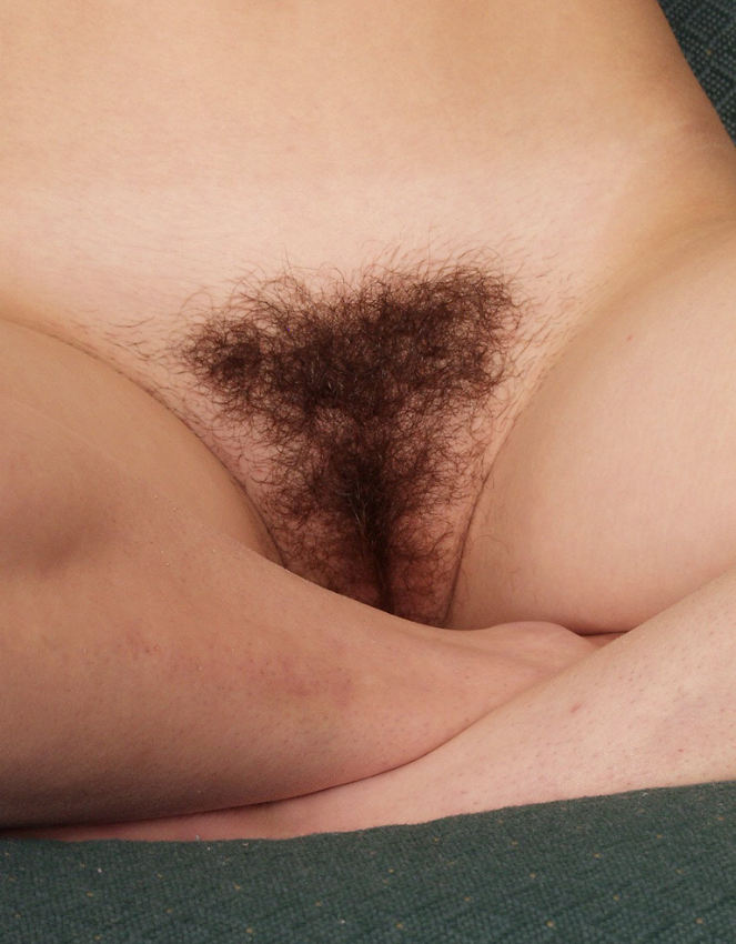 Gratis Foto 9233 Peludas