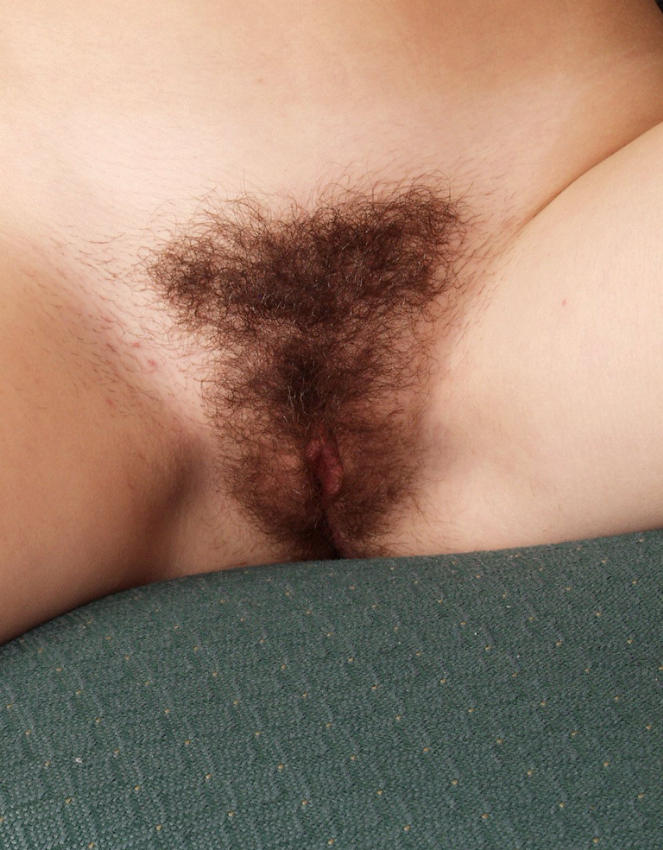 Gratis Foto 14027 Peludas