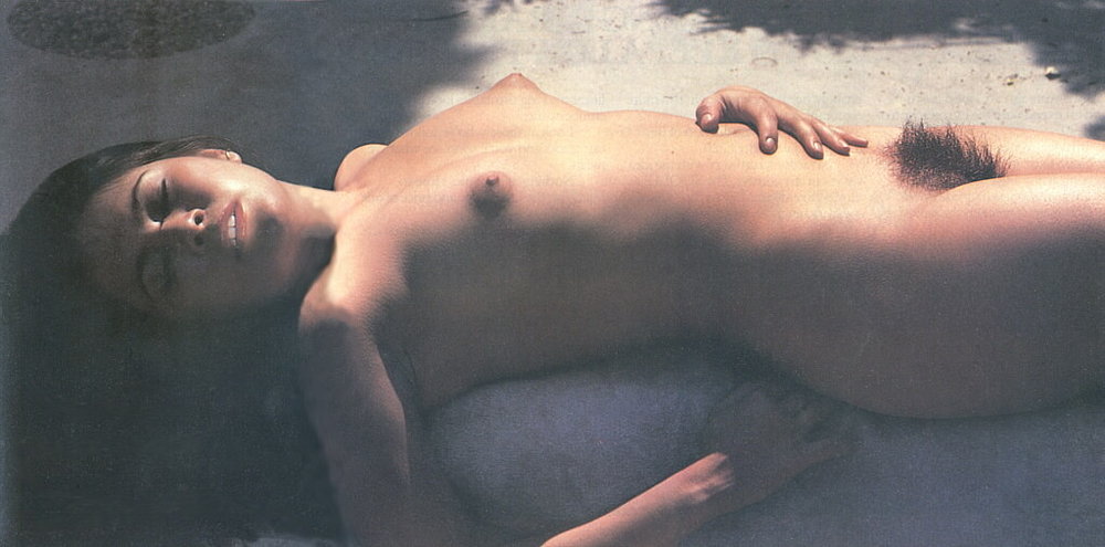 Gratis Foto 13742 Peludas