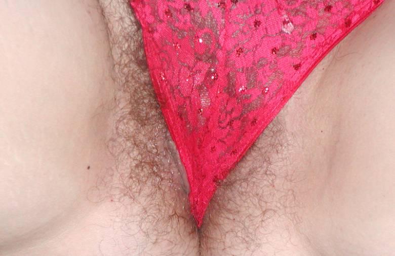 Gratis Foto 10867 Peludas