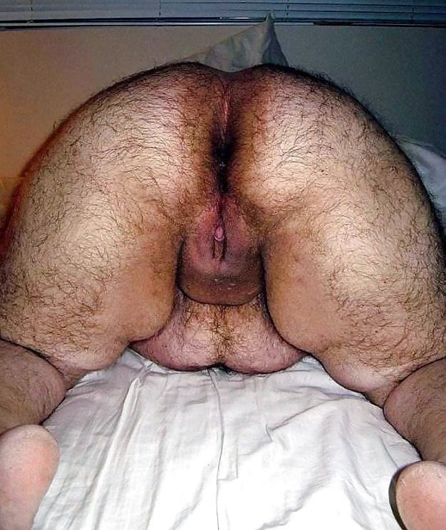 Gratis Foto 12070 Peludas
