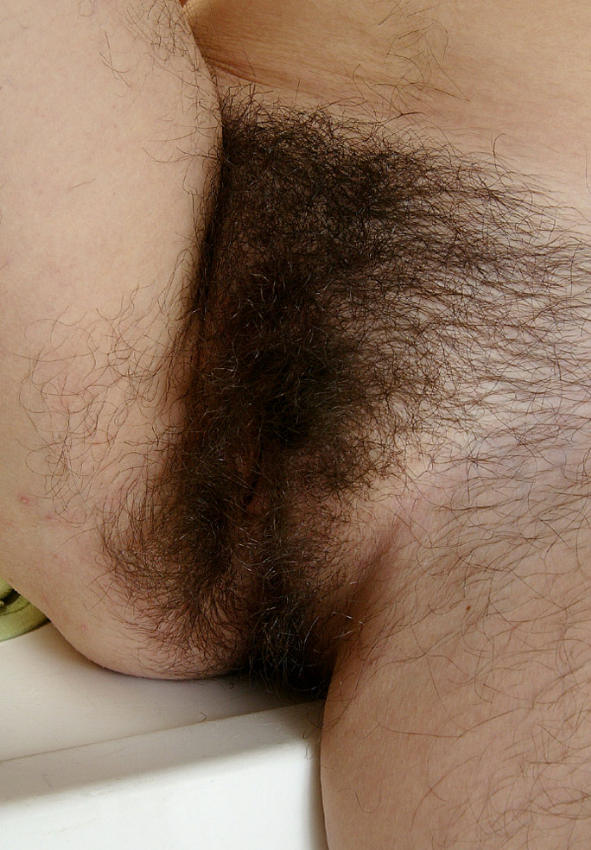 Gratis Foto 5809 Peludas