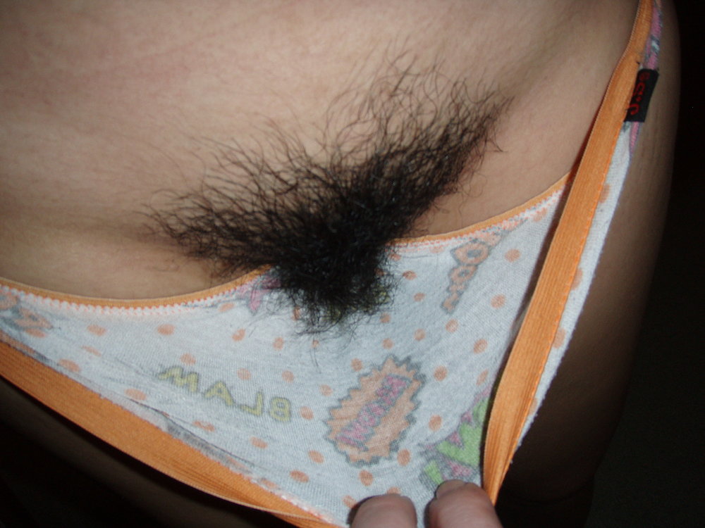 Gratis Foto 2428 Peludas