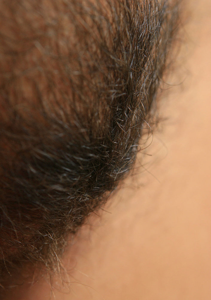 Gratis Foto 8884 Peludas