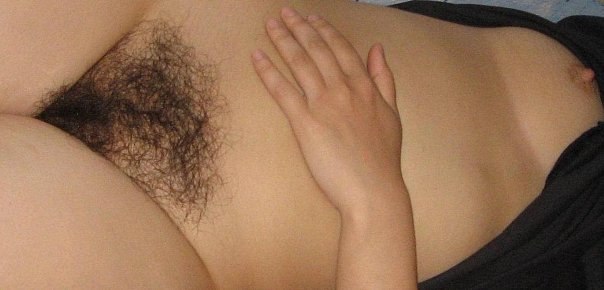 Gratis Foto 11800 Peludas