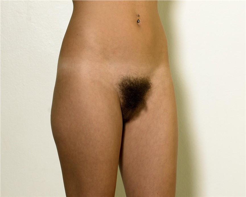 Gratis Foto 9265 Peludas