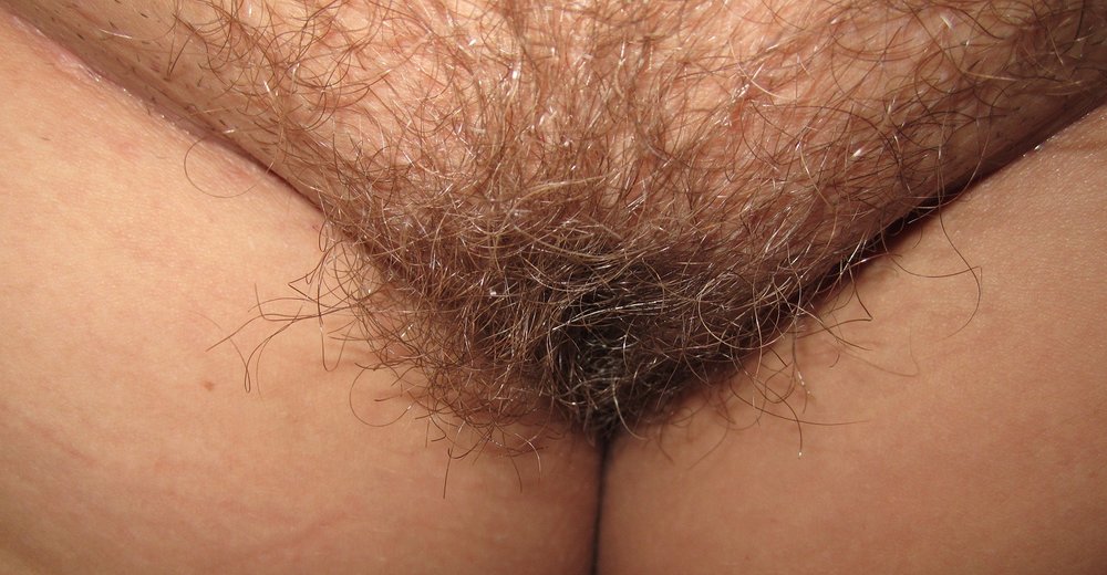 Gratis Foto 2536 Peludas