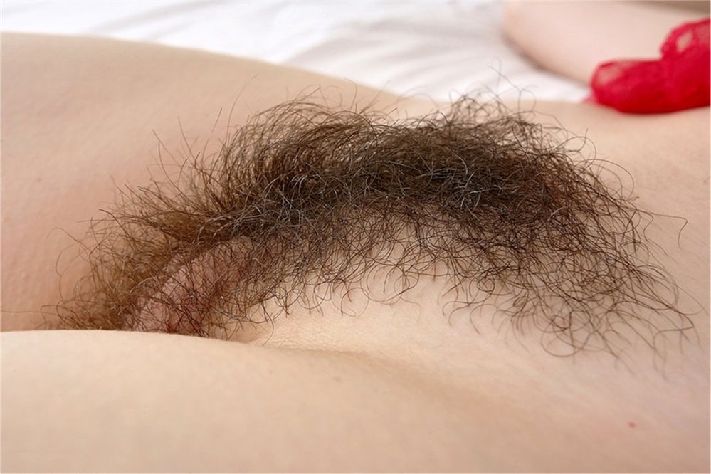 Gratis Foto 386 Peludas