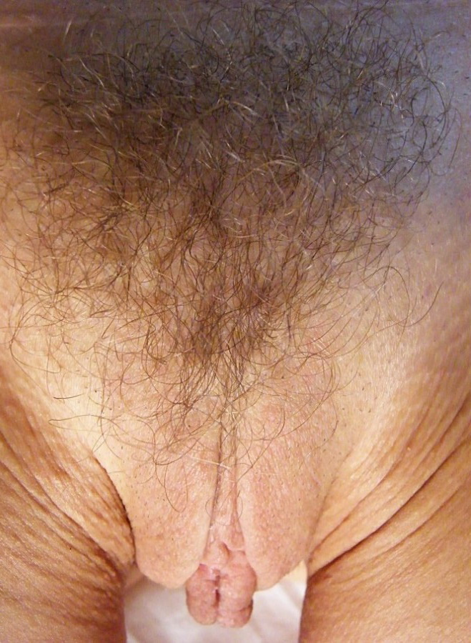 Gratis Foto 7406 Peludas
