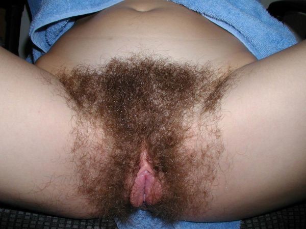Gratis Foto 6808 Peludas