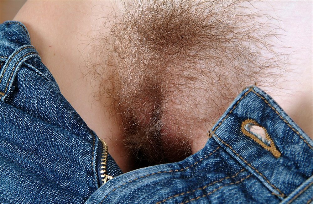 Gratis Foto 771 Peludas