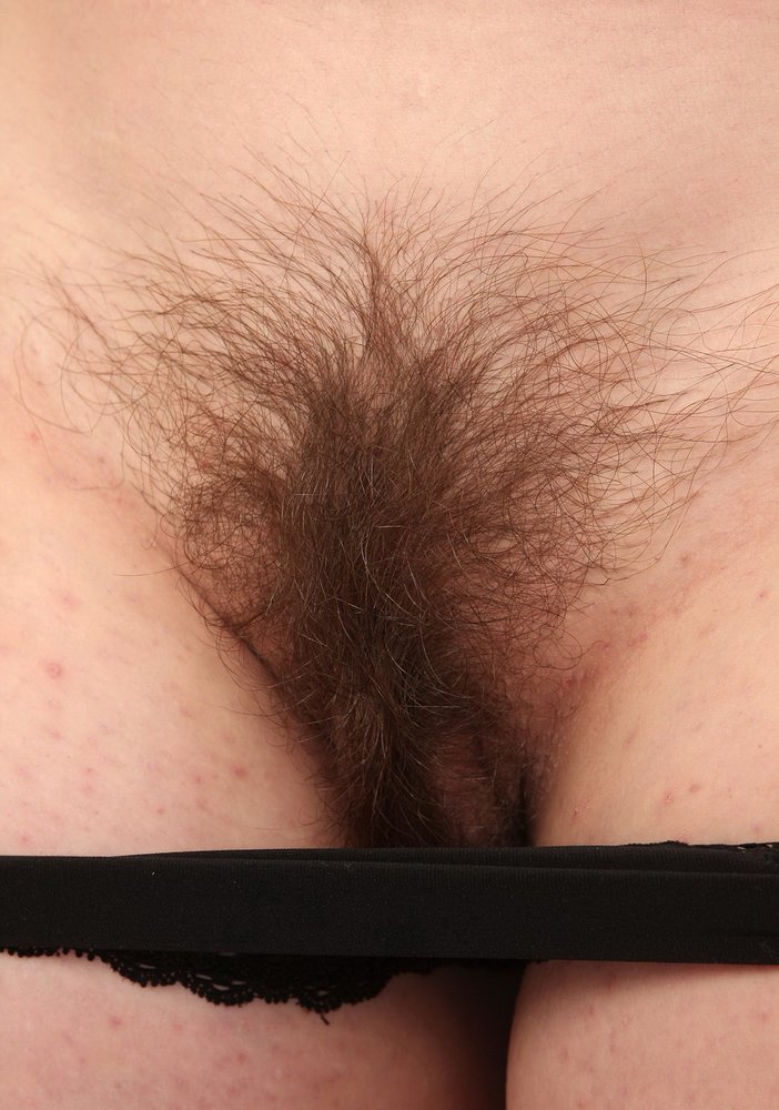 Gratis Foto 12961 Peludas