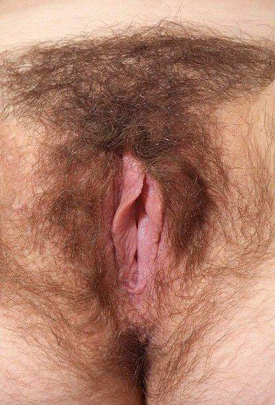Gratis Foto 12797 Peludas
