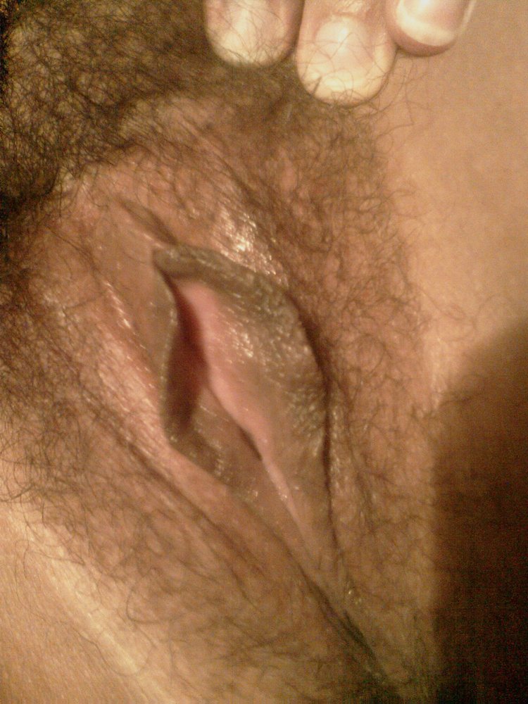 Gratis Foto 7321 Peludas