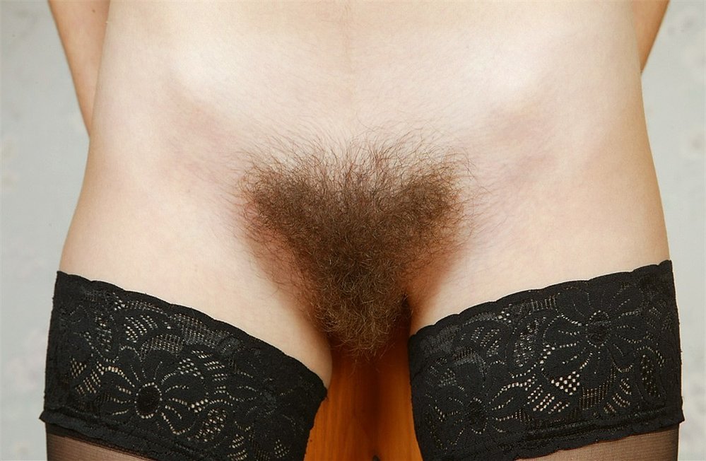 Gratis Foto 12707 Peludas