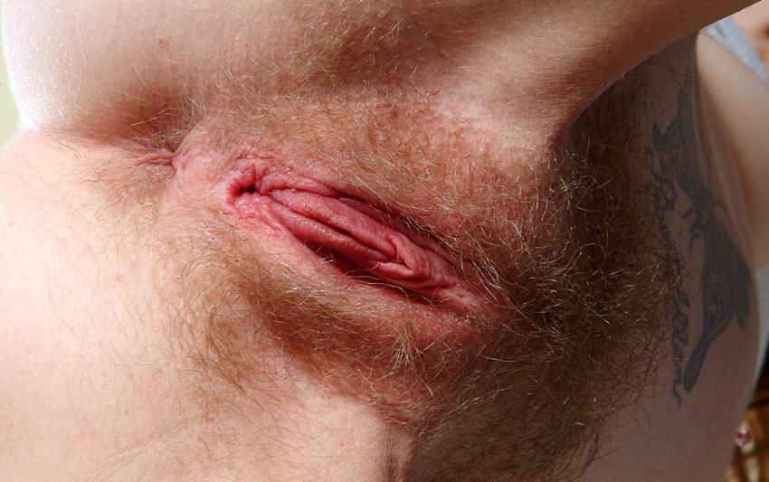 Gratis Foto 1294 Peludas