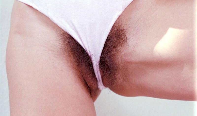 Gratis Foto 6981 Peludas