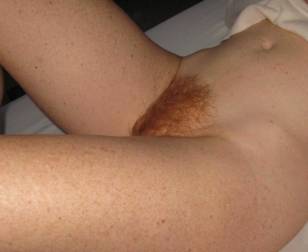 Gratis Foto 5785 Peludas