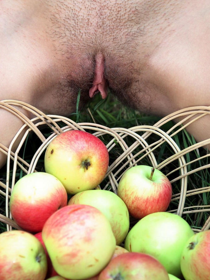 Gratis Foto 13354 Peludas