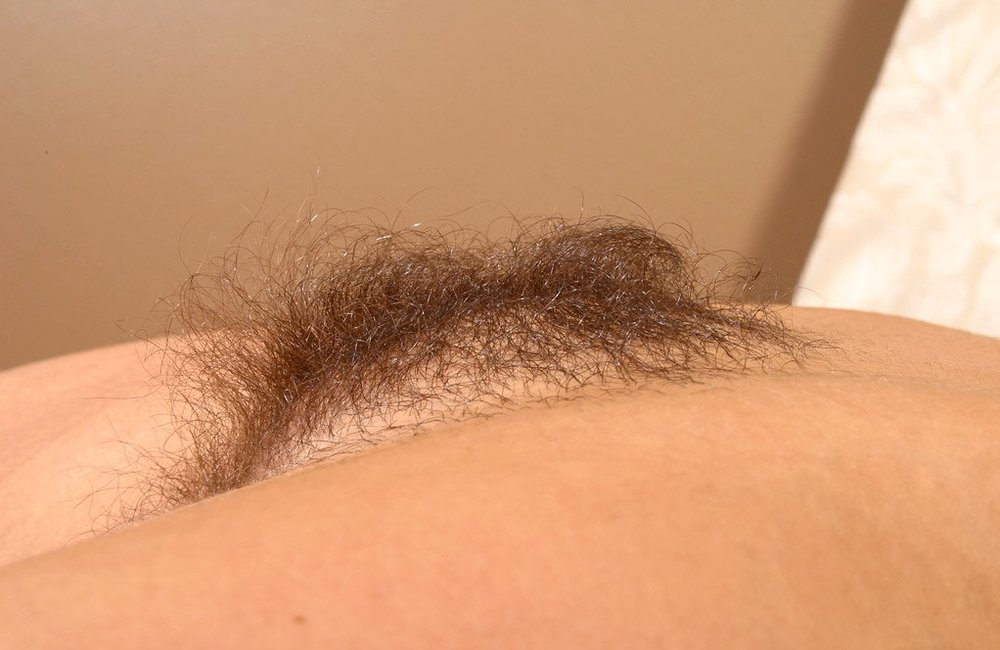 Gratis Foto 12951 Peludas