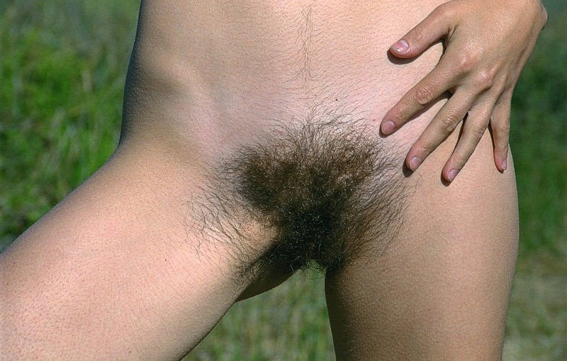 Gratis Foto 14862 Peludas
