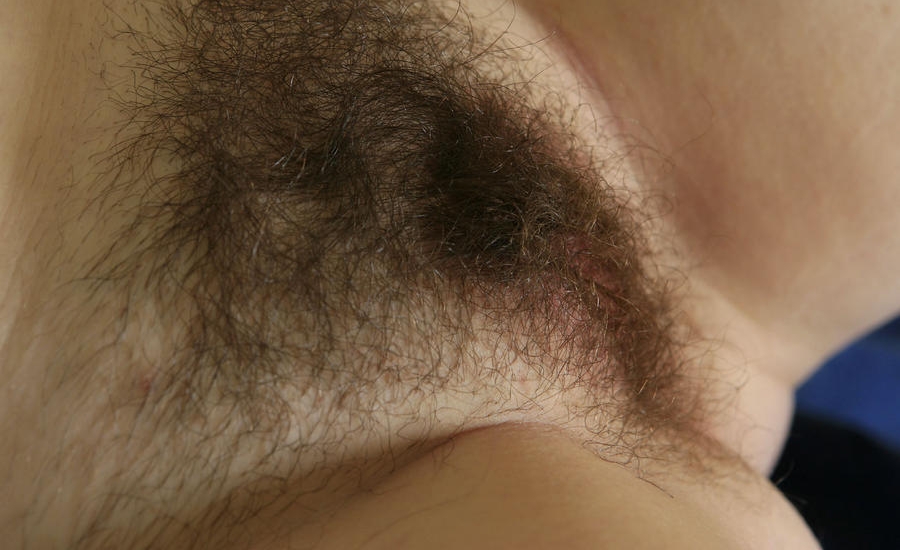 Gratis Foto 8675 Peludas