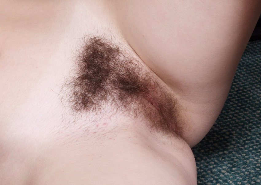 Gratis Foto 1654 Peludas