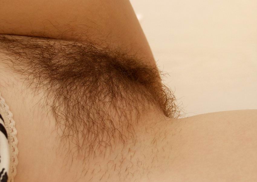 Gratis Foto 7915 Peludas